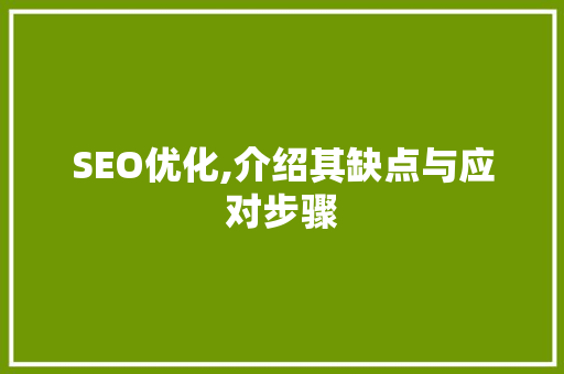 SEO优化,介绍其缺点与应对步骤
