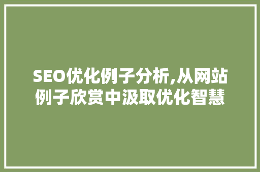 SEO优化例子分析,从网站例子欣赏中汲取优化智慧