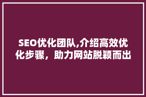 SEO优化团队,介绍高效优化步骤，助力网站脱颖而出