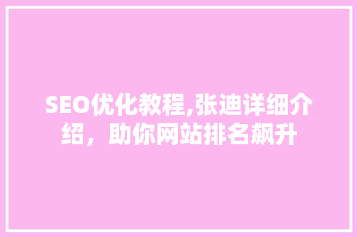 SEO优化教程,张迪详细介绍，助你网站排名飙升