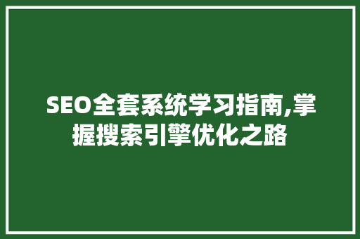 SEO全套系统学习指南,掌握搜索引擎优化之路