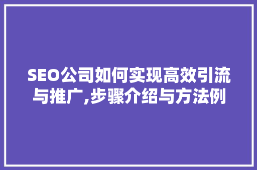 SEO公司如何实现高效引流与推广,步骤介绍与方法例子