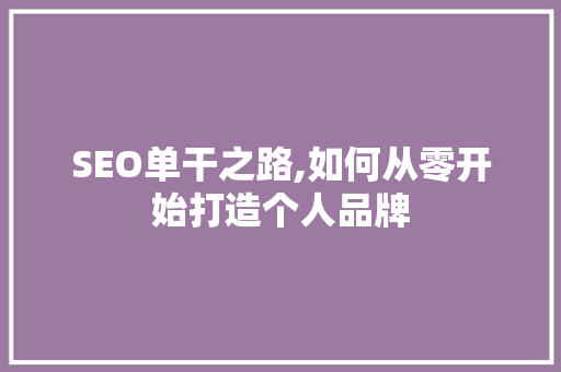 SEO单干之路,如何从零开始打造个人品牌  第1张