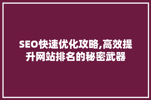 SEO快速优化攻略,高效提升网站排名的秘密武器