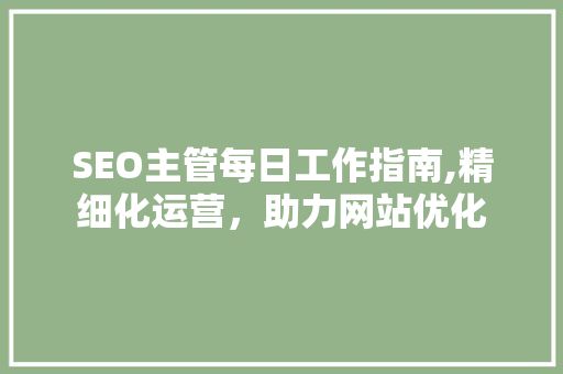 SEO主管每日工作指南,精细化运营，助力网站优化
