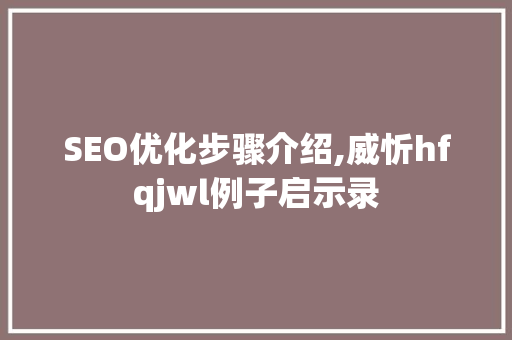 SEO优化步骤介绍,威忻hfqjwl例子启示录