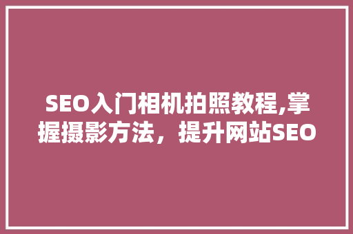 SEO入门相机拍照教程,掌握摄影方法，提升网站SEO优化效果