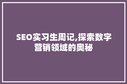 SEO实习生周记,探索数字营销领域的奥秘