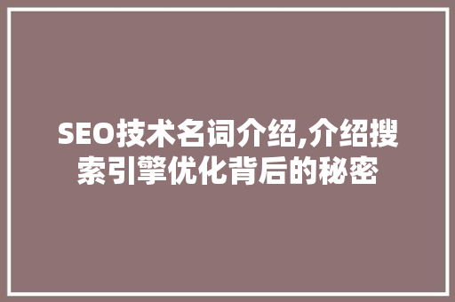 SEO技术名词介绍,介绍搜索引擎优化背后的秘密