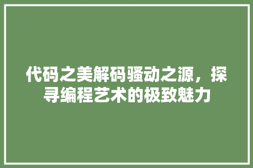 代码之美解码骚动之源，探寻编程艺术的极致魅力