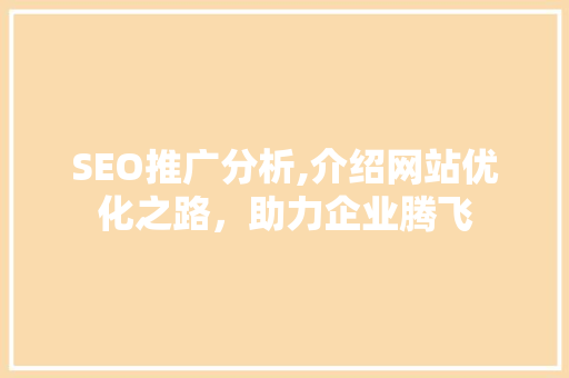 SEO推广分析,介绍网站优化之路，助力企业腾飞