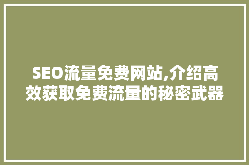 SEO流量免费网站,介绍高效获取免费流量的秘密武器