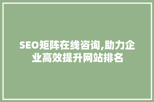SEO矩阵在线咨询,助力企业高效提升网站排名