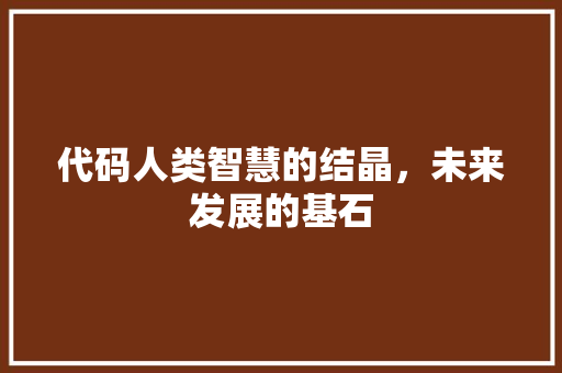 代码人类智慧的结晶，未来发展的基石