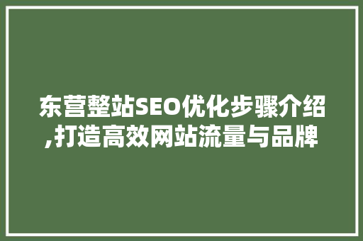 东营整站SEO优化步骤介绍,打造高效网站流量与品牌形象