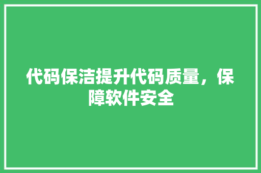 代码保洁提升代码质量，保障软件安全