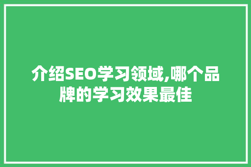介绍SEO学习领域,哪个品牌的学习效果最佳