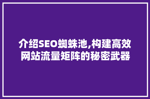 介绍SEO蜘蛛池,构建高效网站流量矩阵的秘密武器