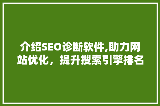 介绍SEO诊断软件,助力网站优化，提升搜索引擎排名
