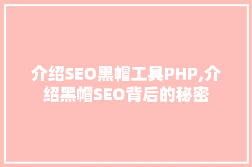 介绍SEO黑帽工具PHP,介绍黑帽SEO背后的秘密
