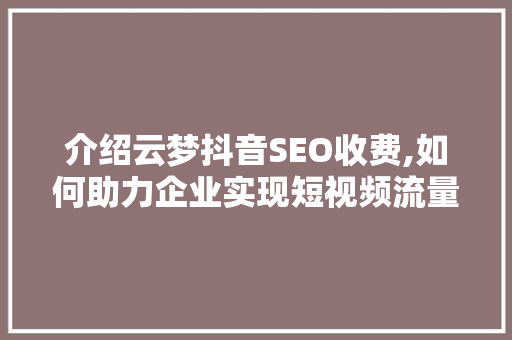 介绍云梦抖音SEO收费,如何助力企业实现短视频流量最大化  第1张