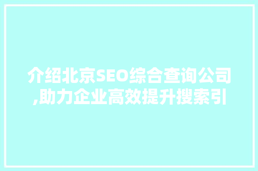 介绍北京SEO综合查询公司,助力企业高效提升搜索引擎排名