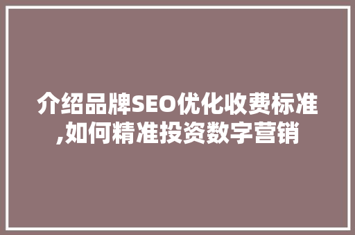 介绍品牌SEO优化收费标准,如何精准投资数字营销  第1张