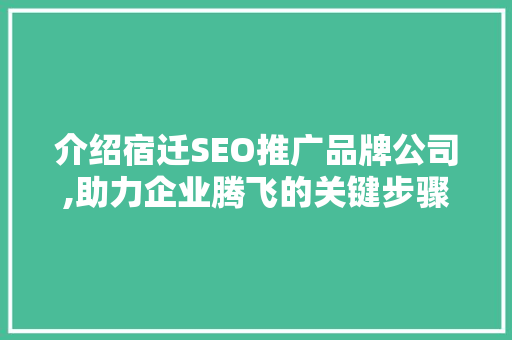 介绍宿迁SEO推广品牌公司,助力企业腾飞的关键步骤