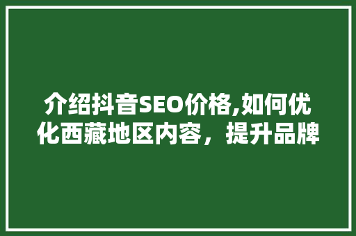 介绍抖音SEO价格,如何优化西藏地区内容，提升品牌曝光度