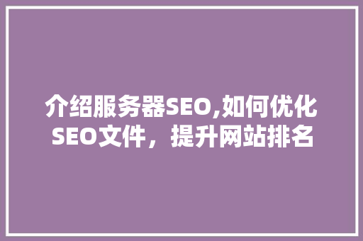 介绍服务器SEO,如何优化SEO文件，提升网站排名