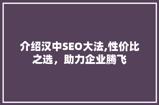 介绍汉中SEO大法,性价比之选，助力企业腾飞