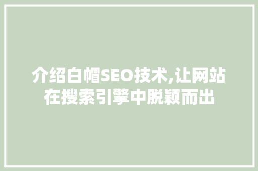 介绍白帽SEO技术,让网站在搜索引擎中脱颖而出
