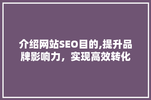 介绍网站SEO目的,提升品牌影响力，实现高效转化