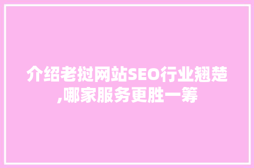 介绍老挝网站SEO行业翘楚,哪家服务更胜一筹