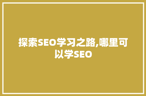 探索SEO学习之路,哪里可以学SEO