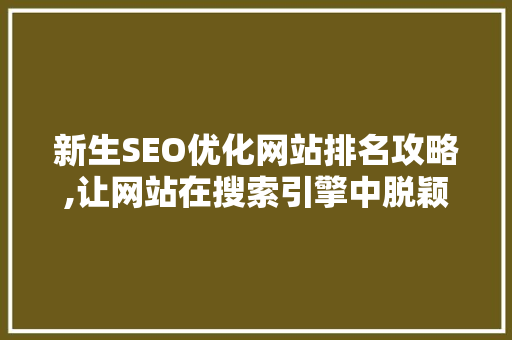 新生SEO优化网站排名攻略,让网站在搜索引擎中脱颖而出