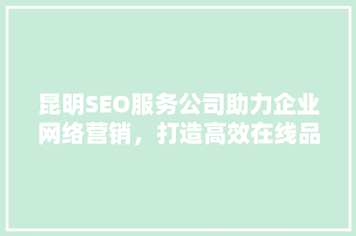 昆明SEO服务公司助力企业网络营销，打造高效在线品牌形象