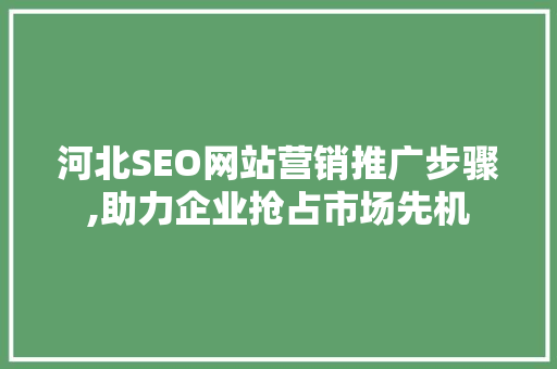 河北SEO网站营销推广步骤,助力企业抢占市场先机