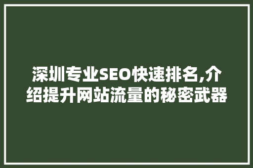 深圳专业SEO快速排名,介绍提升网站流量的秘密武器