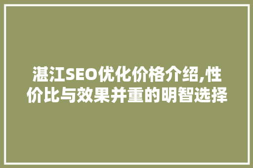 湛江SEO优化价格介绍,性价比与效果并重的明智选择