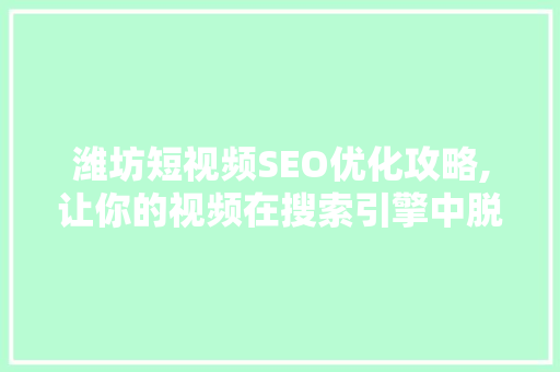 潍坊短视频SEO优化攻略,让你的视频在搜索引擎中脱颖而出
