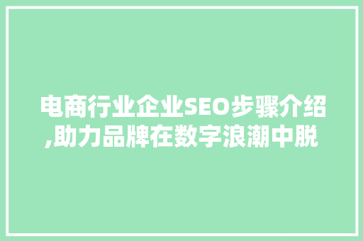 电商行业企业SEO步骤介绍,助力品牌在数字浪潮中脱颖而出  第1张
