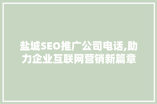 盐城SEO推广公司电话,助力企业互联网营销新篇章