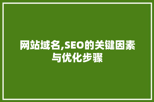 网站域名,SEO的关键因素与优化步骤