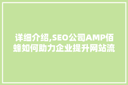 详细介绍,SEO公司AMP佰蜂如何助力企业提升网站流量与转化率  第1张