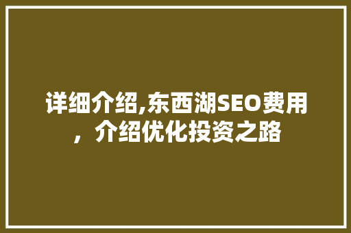 详细介绍,东西湖SEO费用，介绍优化投资之路