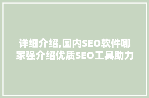 详细介绍,国内SEO软件哪家强介绍优质SEO工具助力企业腾飞