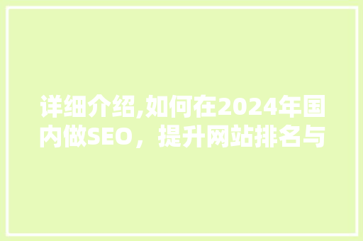 详细介绍,如何在2024年国内做SEO，提升网站排名与流量