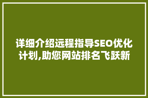 详细介绍远程指导SEO优化计划,助您网站排名飞跃新高度