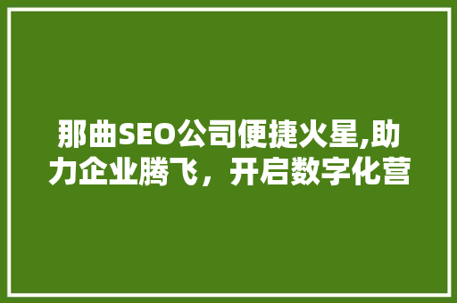 那曲SEO公司便捷火星,助力企业腾飞，开启数字化营销新时代  第1张